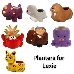 Planters for Lexie